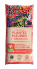 Terreau plantes fleuries et géraniums à Les Compagnons des saisons dans Derval Terreau plantes fleuries et géraniums à Les Compagnons des saisons dans Derval