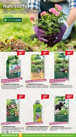 Blumenerde im Raiffeisenmarkt Prospekt in Bad Kreuznach Aktueller Raiffeisenmarkt Prospekt mit Blumenerde, "Gartenzeit & Spielspaß Wohlfühlen für alle", Seite 4