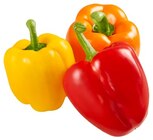 Paprika Mix im Angebot bei REWE in Meerbusch Paprika Mix Angebote von REWE Beste Wahl bei REWE Meerbusch für 1,49 €