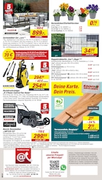 toom Baumarkt Hornveilchen im Prospekt 