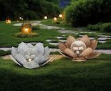 Solarleuchte Honululu von Ambia Garden im aktuellen XXXLutz Möbelhäuser Prospekt für 9,99 €