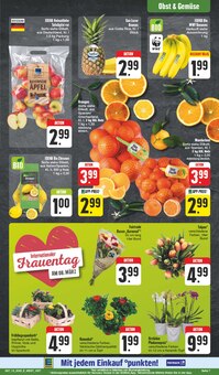 Zimmerpflanzen im EDEKA Prospekt "Wir lieben Lebensmittel!" mit 24 Seiten (Dresden)