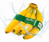 Bio Bananen im Angebot bei Netto Marken-Discount in Neustadt Bio Bananen Angebote von BioBio bei Netto Marken-Discount Neustadt für 1,69 €