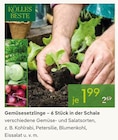Gemüsesetzlinge – 6 Stück in der Schale im Pflanzen Kölle Prospekt zum Preis von 1,99 €