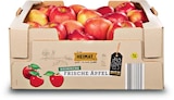 Apfel bei Netto Marken-Discount im Prospekt "" für 4,99 €