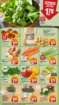 Pflanzen im REWE Prospekt "Dein Markt" mit 16 Seiten (Heidelberg)