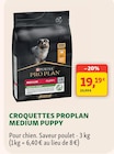 Croquettes Medium Puppy à Maxi Zoo dans Bollène Croquettes Medium Puppy à Maxi Zoo dans Bollène