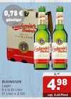 Lager im Angebot bei Getränke Quelle WVG in Magdeburg Lager Angebote von BUDWEISER bei Getränke Quelle WVG Magdeburg für 4,98 €