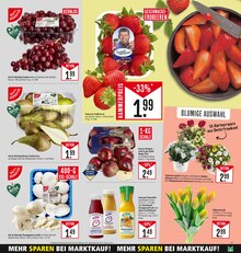 Äpfel im Marktkauf Prospekt "Aktuelle Angebote" mit 34 Seiten (Darmstadt)
