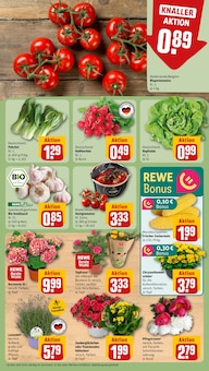 Lavendel im aktuellen REWE Prospekt (Berlin) Lavendel im REWE Prospekt "Dein Markt" mit 25 Seiten (Berlin)