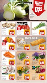 Aktueller REWE Prospekt mit Hortensie, "Dein Markt", Seite 9