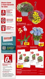 Blumenerde im toom Baumarkt Prospekt in Gifhorn Aktueller toom Baumarkt Prospekt mit Blumenerde, "Respekt, wer's selber macht.", Seite 2