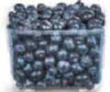 Heidelbeeren bei Netto Marken-Discount im Wachau Prospekt für 3,99 €