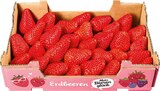 Erdbeeren Angebote bei Netto Marken-Discount Wunstorf für 3,99 €