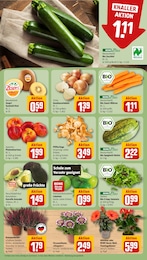 Limetten Angebot & Preis im aktuellen REWE Prospekt Limetten Angebot im aktuellen REWE Prospekt auf Seite 7