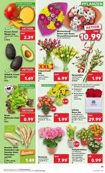 Schnittblumen im Kaufland Prospekt "Aktuelle Angebote" mit 56 Seiten (Duisburg)