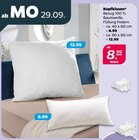Aktuelles Kopfkissen ca. 40 x 80 cm Angebot bei Netto mit dem Scottie in Lübeck ab 8,99 €