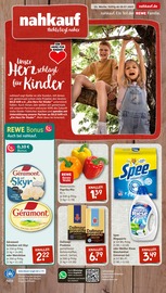 Persil im nahkauf Prospekt in Elmshorn Aktueller nahkauf Prospekt mit Persil, "nichts liegt näher", Seite 1