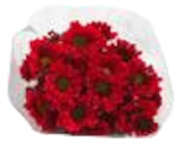 Chrysanthemen im aktuellen EDEKA Prospekt