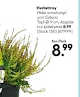 Herbsttray im aktuellen Hellweg Prospekt