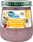 Morgenbrei Joghurt, Banane, Erdbeere, Blaubeere mit Hafer ab 10 Monaten Angebote von Freche Freunde bei dm-drogerie markt Monheim für 0,95 €