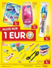 WC Reiniger im Netto Marken-Discount Prospekt in Mülheim Aktueller Netto Marken-Discount Prospekt mit WC Reiniger, "Aktuelle Angebote", Seite 22
