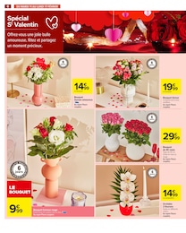 Offre Plante D'intérieur dans le catalogue Carrefour du moment à la page 8