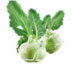 Kohlrabi von Heimat im aktuellen Netto Marken-Discount Prospekt