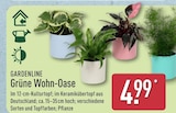 Grüne Wohn-Oase von GARDENLINE für 4,99 € bei ALDI Nord im Angebot Grüne Wohn-Oase von GARDENLINE im aktuellen ALDI Nord Prospekt