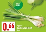 Lauchzwiebeln bei Marktkauf im Herford Prospekt für 0,66 €