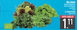 Bio-Salat von  im aktuellen EDEKA Prospekt für 1,11 €
