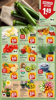 Blumen im aktuellen REWE Prospekt (Neuss) Blumen im REWE Prospekt "Dein Markt" mit 24 Seiten (Neuss)