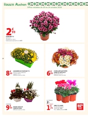 Promos Chrysanthèmes dans le catalogue "BIEN AU CHAUD" de Auchan Hypermarché Chrysanthèmes en promo dans le catalogue Auchan Hypermarché à la page 28