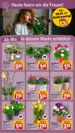 Pfanne im REWE Prospekt in Fulda Aktueller REWE Prospekt mit Pfanne, "Dein Markt", Seite 6