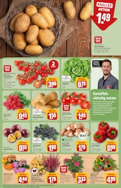 Tomaten im REWE Prospekt in Kassel Aktueller REWE Prospekt mit Tomaten, "Dein Markt", Seite 9