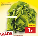 Kopfsalat mit Wurzel Angebote bei Netto Marken-Discount Hannover für 1,00 €