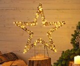 Gartenstecker „Stern“ bei Hagebaumarkt im Hildesheim Prospekt für 14,99 €