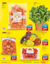 Pflanzen im Netto Marken-Discount Prospekt in Recklinghausen Aktueller Netto Marken-Discount Prospekt mit Pflanzen, "Aktuelle Angebote", Seite 5