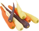 EDEKA Lünen - Möhren Mix Angebot im Prospekt Möhren Mix bei EDEKA im Lünen Prospekt für 1,59 €