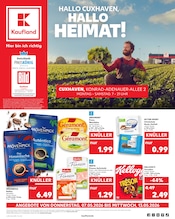 Aktueller Kaufland Supermarkt Prospekt in Friedrichskoog und Umgebung, "Aktuelle Angebote" mit 62 Seiten, 07.05.2026 - 13.05.2026