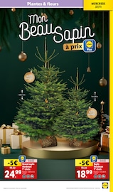 Sapin Nordmann Angebote im Prospekt "BLACK FRIDAY DEALS" von Lidl auf Seite 33