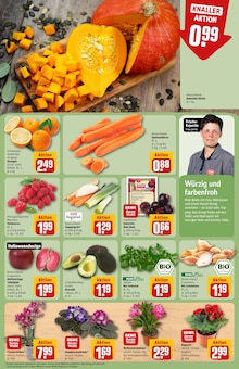 Äpfel im aktuellen REWE Prospekt (Jena) Äpfel im REWE Prospekt "Dein Markt" mit 38 Seiten (Jena)