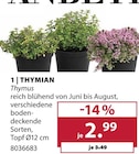 Aktuelle Kräuter Angebote bei Dehner Garten-Center in Hamburg Aktuelles Thymian Angebot bei Dehner Garten-Center in Hamburg ab 2,99 €