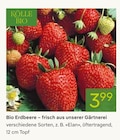 Erdbeeren im Pflanzen Kölle Prospekt Bio Erdbeere von Kölle Bio im aktuellen Pflanzen Kölle Prospekt für 3,99 €