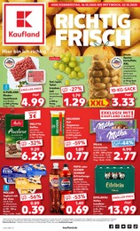 Aktueller Kaufland Supermarkt Prospekt für Bacharach 16.10.2025 - 22.10.2025 Kaufland Prospekt für Bacharach mit 64 Seiten