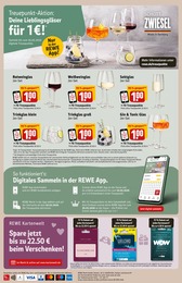 REWE Gin im Prospekt 