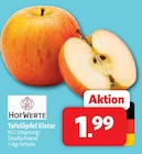 Tafeläpfel Elstar im Angebot bei Markant Nordwest in Bremerhaven Tafeläpfel Elstar Angebote von HofWerte bei Markant Nordwest Bremerhaven für 1,99 €