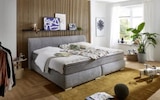Familienboxspringbett Flint, silber, 240 x 200 cm im Angebot bei HARDECK in Hagen Familienboxspringbett Flint, silber, 240 x 200 cm Angebote von Sun Garden bei HARDECK Hagen für 1.199,00 €