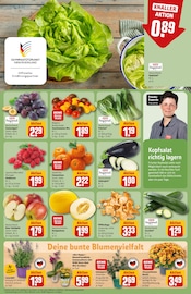 Ähnliche Angebote wie Saatgut im Prospekt "Dein Markt" auf Seite 7 von REWE in Herne
