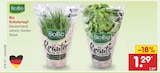 Netto Marken-Discount Heiligenhafen - Bio Kräutertopf Angebot im Prospekt Bio Kräutertopf bei Netto Marken-Discount im Heiligenhafen Prospekt für 1,29 €